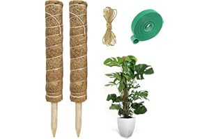 Hongyans 2 Pièces Tuteur Plante Support Plante Grimpante Tuteur Coco pour Plante Monstera Maison Jardin avec 1 Rouleau Serre Câbles et 1.5m Ficelle de Jute