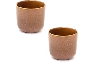 Carousel Home Pack of 2 Natural Brown Reactive Glaze Ceramic Plant Pot | Indoor Cachepot Planter for Succulents and Flowers - 8cm
