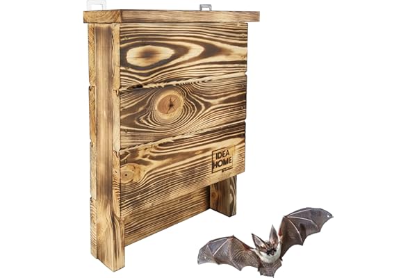 LEVIATAN Chiroptera Nichoir à Chauve-Souris en Bois Massif prêt à l'emploi, résistant aux intempéries, Non traité, pour Chauve-Souris, Prêt à l'emploi, Aucun Assemblage requi