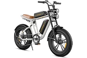 ENGWE E Bike Hommes Vélo électrique-Ebike avec Une Batterie/ 2 Batteries, E-Bike 20 * 4.0 Pouces Pneus Gras, Ebike Hommes jusqu'à 75km/150km/90km/170km, Vélo électrique 7 Vitesses, M20/M1