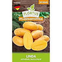 FLORTUS 2000-0392 Pflanzkartoffeln Linda 10 Stück I Festkochend, mittelfrüh I Saatkartoffeln pflanzen & anbauen I…