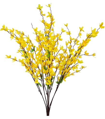 mucplants Haselnusszweig Korkenzieherhasel 70cm knstlicher Zweig  Korkenzieherzweig Hasel knstlicher AST Kunstast Kunstzweig : Amazon.de:  Kche, Haushalt & Wohnen