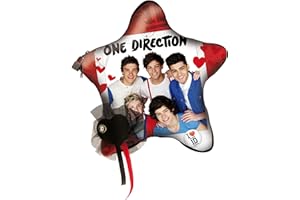 IMC Toys - 12035 - Jeu d'imitation - Coussin Secret One Direction