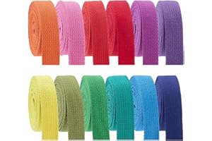 PH PandaHall Correas de algodón de 33 m, 12 colores, cinta de costura de 20 mm de ancho, asas de bolsa coloridas, correa de cinturón para bolsas de mano, correa de bolso, costura, manualidades