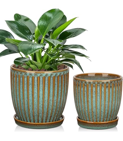 Écrous Demi-hauteur (half Nuts) Métriques A2 Inox - Filet Fin, M6 à M30, Pour Usinage Et Fixation