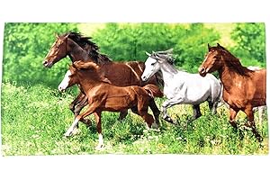 SKYBRANDS Ręcznik plażowy, ręcznik plażowy, ręcznik kąpielowy, dzikie konie, natura, jazda konna, welur, frotte, 75 x 150 cm