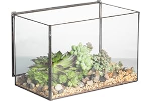 Rectangle Clear Glass Geometric Terrarium Box Tabletop Succulent Plant Planter Moss Fern by NCYP