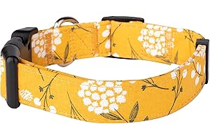 ART TRIBUTE Obroże dla małych, średnich i dużych psów i suczek – designerskie wzory na długotrwałych, regulowanych, mocnych i trwałych obrożach dla psów – najlepszy pomysł na wypchanie skarpet