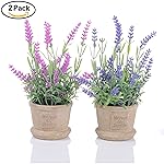 Kunstblumen & -pflanzen | Amazon.de