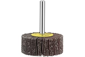 Bosch Accessories 2609256283 Roues à lamelles pour Perceuse Grain 120 50 x 20 mm