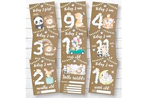 PERSONAL MOMENTS Baby Animal Milestone Cards • Baby Shower Milestone Cards Gift • Baby Keepsake Milestone Cards • Unisex Memory Milestone Cards • Forest Theme Baby Cards • Jungle Theme Milestone Cards