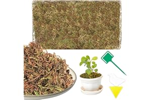 HENJUNU Muschio Secco 200g Muschio di Sfagno Naturale Sfagno, Fibra di Sfagno per piante Idrata e Protegge ideale per Orchidee Bonsai e Carnivore, Sfagno per orchidee professionale