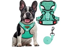 FAYOGOO Dog Harness Medium, No Pull Vest Harness with 2 Clips Training Anti Pull, Adjustable Pet Harness Soft Padded Reflective No Choke with Easy Control Handle for Training or Walking, Green,M