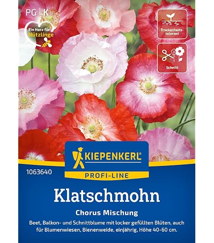 Kiepenkerl Lupinensamen Gartenzwerg Mischung – Kompakte Staude Für Beet & Kübel