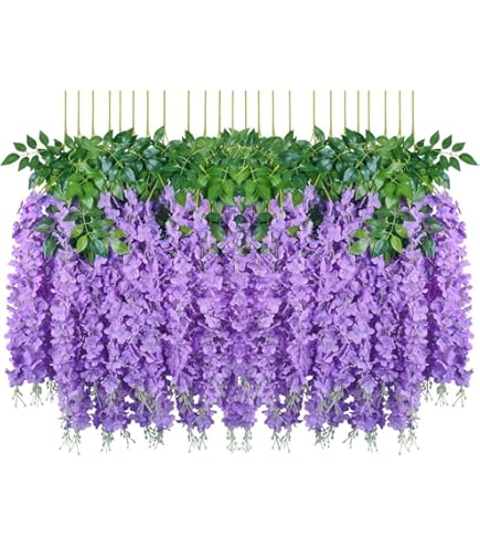 Japanse Blauwe regen 'Ikojama Fuji' - Paars (Wisteria brakybotrys