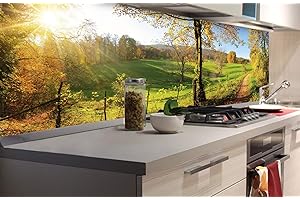 DIMEX LINE Paraschizzi Auto-Adesiva per la Cucina Prato 180 x 60 cm | Resistente all’Acqua | QUALITA‘ Premium