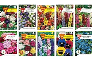 FRANKONIA Blumen Samen Set: Sommerblumen-Paket / 10 verschiedene Sommerblumensorten/bunte Blumenwiese/Für Garten, Balkon und Hochbeet