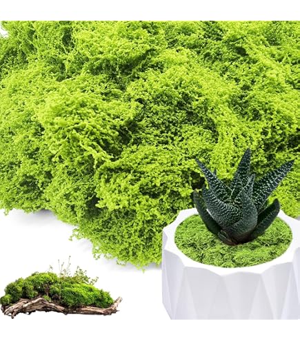Muschio Finto Stabilizzato Per Decorazioni | Verde Scuro 200g