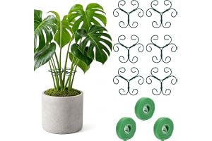 6 stycken växtstöd metall, Monstera växtstöd inomhusväxter, rund perennhållare med 3 rullar 1 m kardborreband, mångsidigt väx