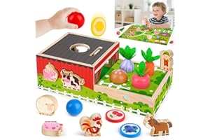 EICHHOO Montessori Spielzeug ab 1 2 Jahr: Geschenk Junge Mädchen 1-2 Jahre Kinderspielzeug Motorikwürfel Holzspielzeug Farmspiel mit Karte Karotten Steckspiel Lernspiel Kleinkinder ab 12 Monate Activity Spiel