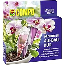 Orchidée Phalaenopsis factice Top Qualité & pot H60cm Rose fushia-BEST
