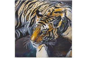 Crystal Art XXL Kits, Mulitcolor