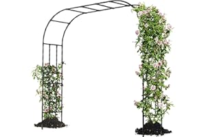Caroeas Arche de Jardin pour Plantes Grimpantes,250x240x40cm，Arceau Métallique pour Rosiers, Tonnelle Décorative Extérieure, Résistante à la Rouille et à la Décoloration