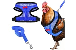 CIATBYYJ Adjustable Chicken Leashes and Harnesses Set, Double Adjustment Chicken Harness Comfortable Nylon Chickens Vest with 1m Leash for Hens, Ducks, Geese, Small Pets (Blue, M)