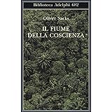 Il fiume della coscienza