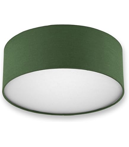 HOFSTEIN Deckenleuchte Wemude | 40 Cm Durchmesser | Gitterdesign Grün | E27 Fassung | Vintage Stil Für Wohnzimmer & Küche