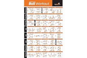 NewMe Fitness Lot de 1 affiche d'entraînement pour salle de sport à domicile, affiches d'exercice de stabilité pour entraînement complet du corps, abdominaux, jambes, fessiers et programme