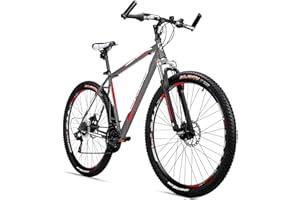 Bicicleta de montaña Detroit de la marca Bergsteiger, 29 pulgadas, adecuada a partir de 170 cm, frenos de disco, cambio Shimano de 21 velocidades, racing red,grey (matt)