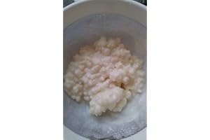 1 Tablespoon of Organic Milk Kefir Grains - Live Culture from the Kefir Collection