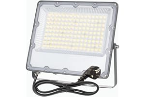 MEEKBOS Faretto LED da Esterno 100W, IP66 Impermeabile Luce Bianca Fredda 6500K Faro LED Con Spina UE per Terrazza, Giardino, Patio, Parco, Garage,10000 Lumen