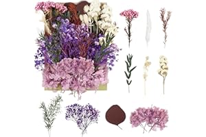 RUGBOL Fiori secchi, fiori pressati Fiori secchi Fiori secchi Artigianato per fai da te Arti Resina Scrapbooking Creazione di gioielli Decorazioni floreali (viola)