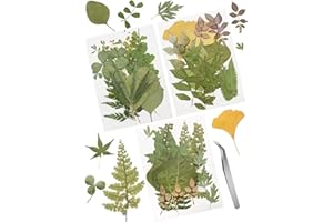 Cinvo 63 Stück echte getrocknete gepresste Blätter natürliches sortiertes getrocknetes Grün mit Pinzette für Harz, Kerzen, Schmuck, Seife, Handyhülle, Kunsthandwerk, DIY-Verzierung, Dekorationen