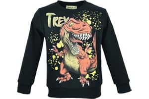 MARIELA KIDS Kinder Dino Pullover | Sweatshirt Jungen | Winterpullover Dinosaurier | T-Rex Print | Baumwolle | Langarmshirt | Warmer Kinderpullover