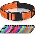 Joytale Reflective Dog Collar, Soft Neoprene Padded Breathable Nylon Pet Collar Adjustable for Medium Dogs, M, Orange