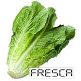 Lechuga Paralela