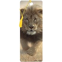 Poster Lion 3D Lenticulaire Deluxebase - 30x40cm - Œuvre De Collin Bogle - Décoration Murale Animale