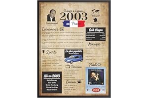 Finoly Retour en 2003 Affiche d’anniversaire 20 Ans - Idée Cadeaux - 20 Ans Cadeau Homme Anniversaire - 20 Ans Cadeau Femme Anniversaire - Décoration Fête - Poster Carte Vintage Originale (2003, A4)
