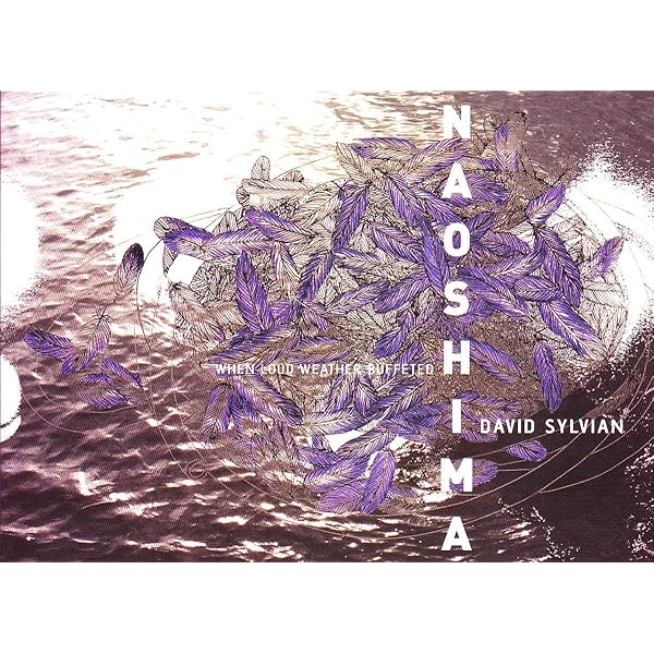 洋書 Hypergraphia david sylvian Hypergraphia: The Writings of David Sylvian 1980-2014: David