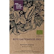 ARROCHE DES JARDINS ROUGE - Atriplex Hortensis 'Rubra' - L'Apothèque Du