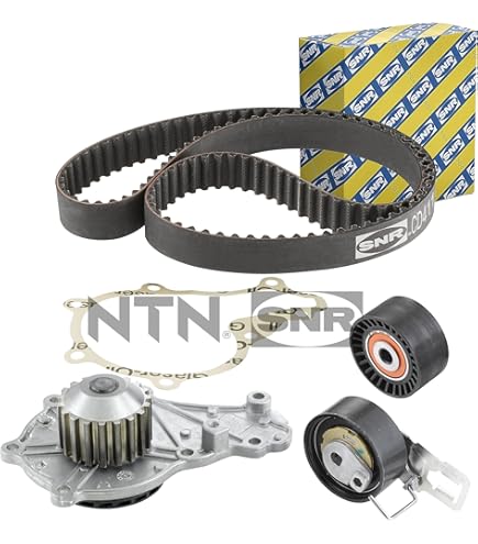 Correa Poly V Gates 6PK873SF - Correa Trapecial Para Accesorios De Motor, Transmisión De Potencia