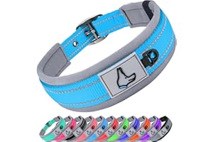 Joytale Collar Perro Grande, Resistente y Reflectante, Ajustable de Acolchado Neopreno Nylon, Cielo Azul, L