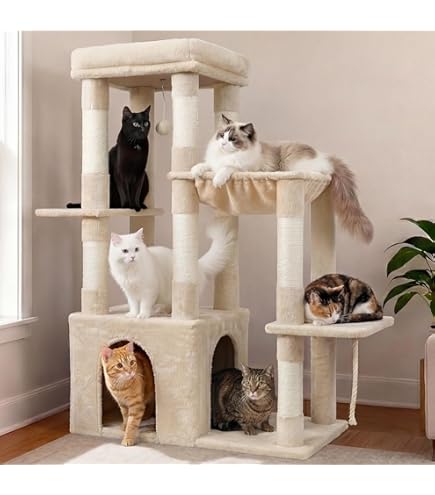 Heybly HCT009SM Krabpaal, 75 cm hoog, klein, met bovenste platform, hol, hangmat, klimladder, kattenspeelgoed, kattenmeubels, klimboom activiteitenkrabpaal, beige