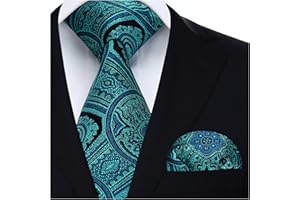 HISDERN Conjunto de corbata y bolsillo con pañuelo de boda floral Paisley para hombre