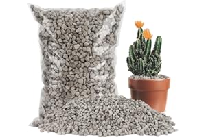 Sukh Piedra pómez hortícola – Piedra pómez para plantas suculentas, cactus, bonsái, orquídea, enmienda del suelo, 410 g
