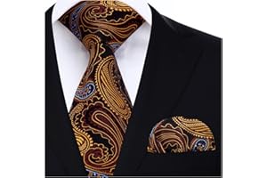 HISDERN Męski krawat paisley chusteczka ślubna krawat i poszetka zestaw