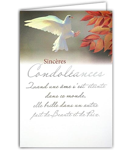 Coffret Condoléances Animal De Compagnie - 4 Pièces : Carte, Porte-clés, Enveloppe, Sac Velours